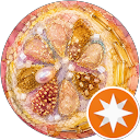 starlemon* profile picture